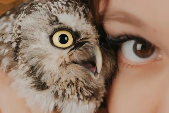 PlayHub Casino Ënnerstëtzung